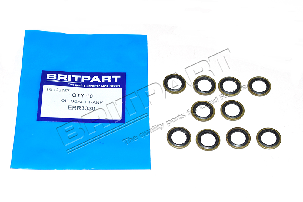 Dichtring 4.0L V8 L/R EFI Benzin 19mm AD 10er Tüte