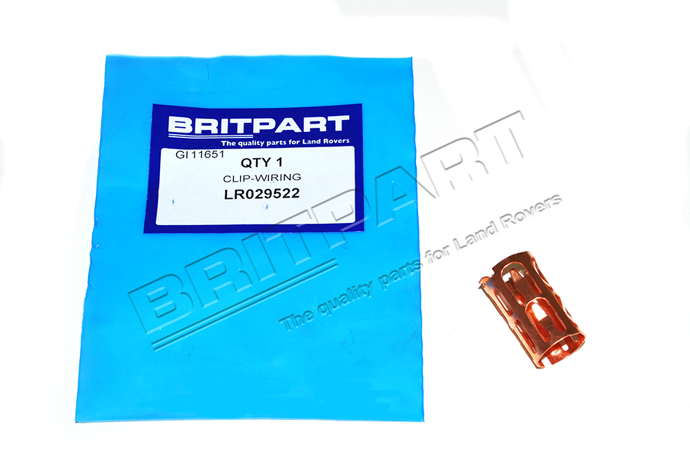 LR029522BX.jpg