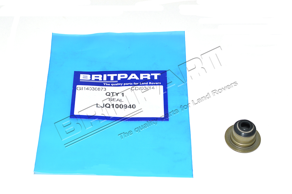 LJQ100940BX.jpg
