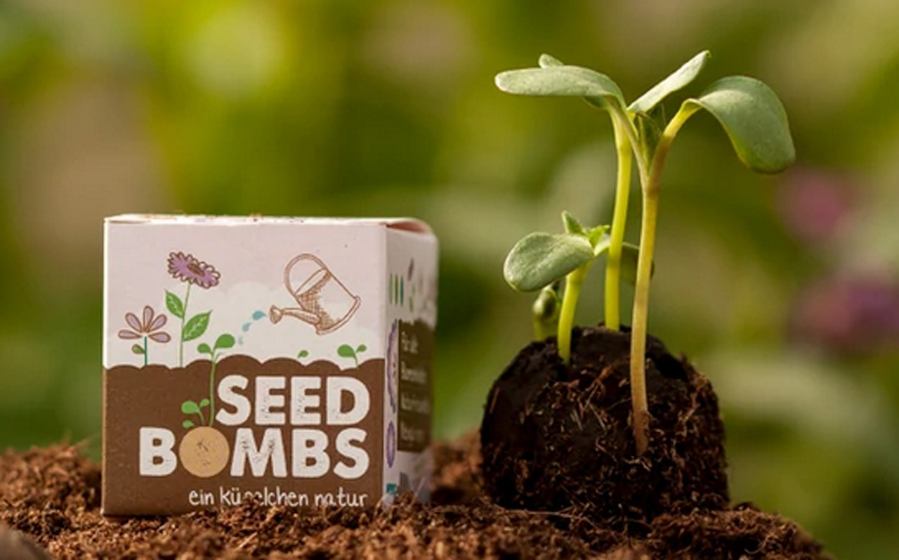 Seedbomb