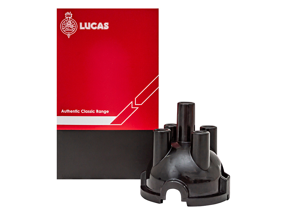 566859LUCAS_extra3.jpg